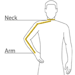 Measurements for Silk Touch Sport Shirt - 